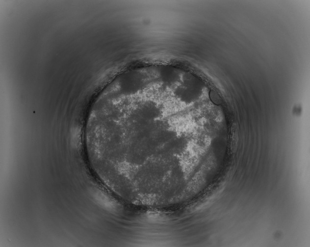X0000100360641200807031839