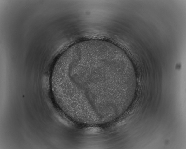 X0000100360642200807031839