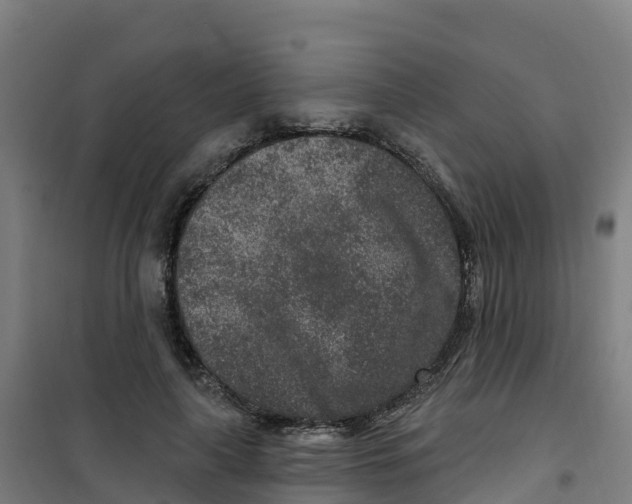 X0000100360643200807031839