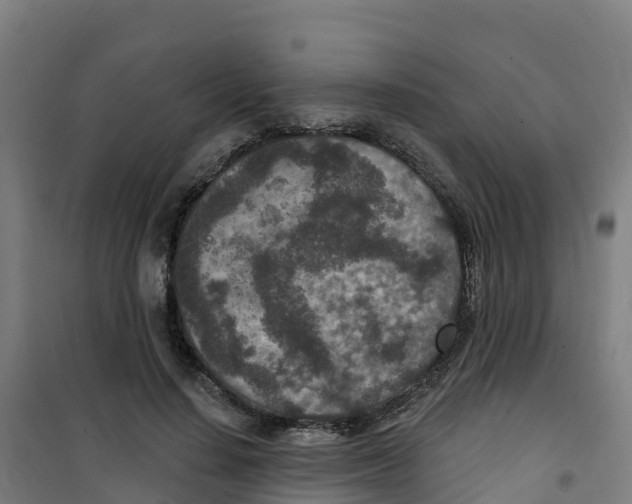 X0000100360644200807031839