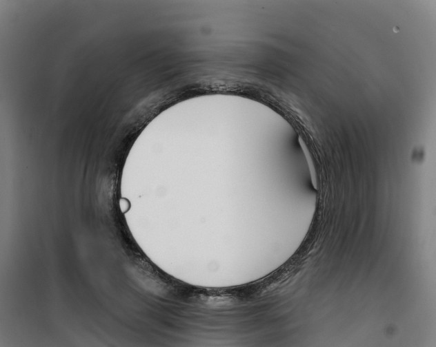 X0000100360645200807031839