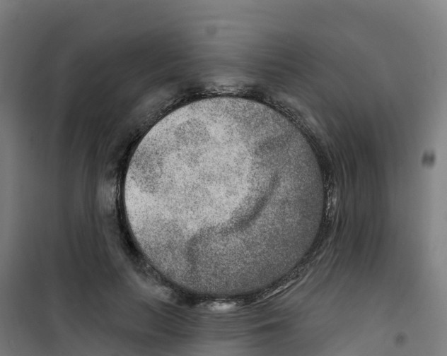 X0000100360647200807031839