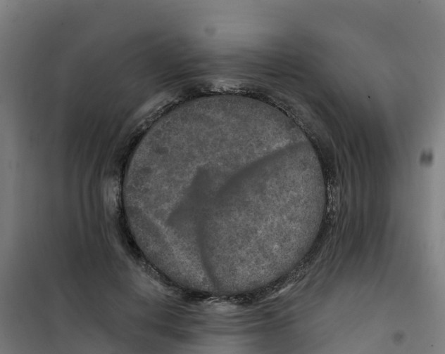 X0000100360648200807031839