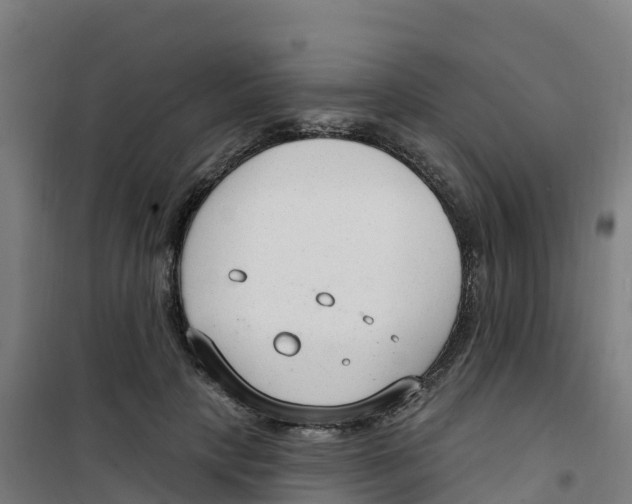 X0000100360649200807031839