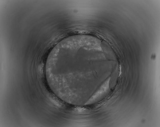 X0000100360650200807031839