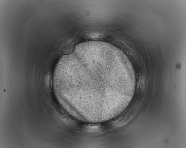 X0000100360651200807031839