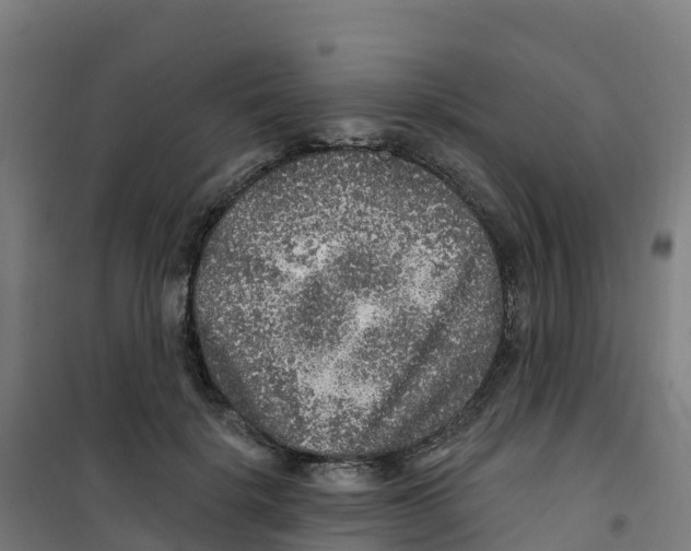 X0000100360652200807031839
