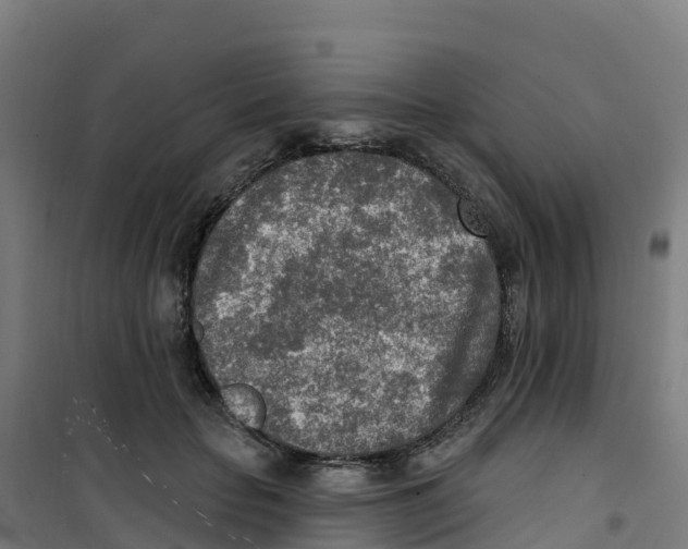 X0000100360653200807031839