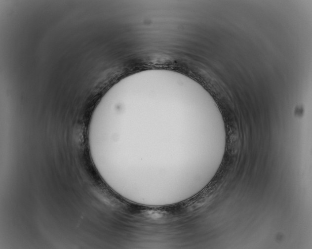X0000100360654200807031839