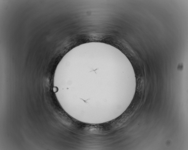 X0000100360655200807031839