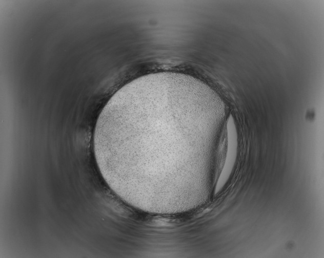 X0000100360657200807031839