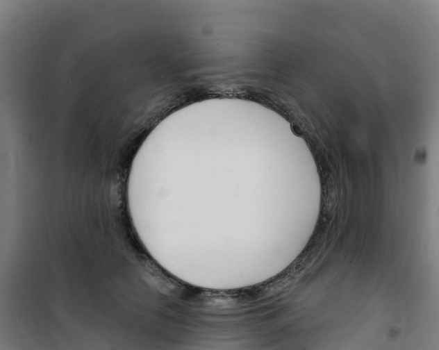 X0000100360658200807031839