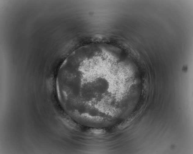 X0000100360659200807031839