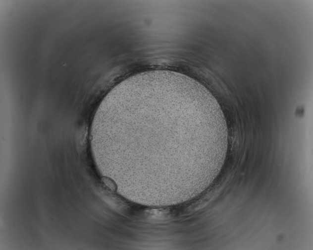 X0000100360660200807031839