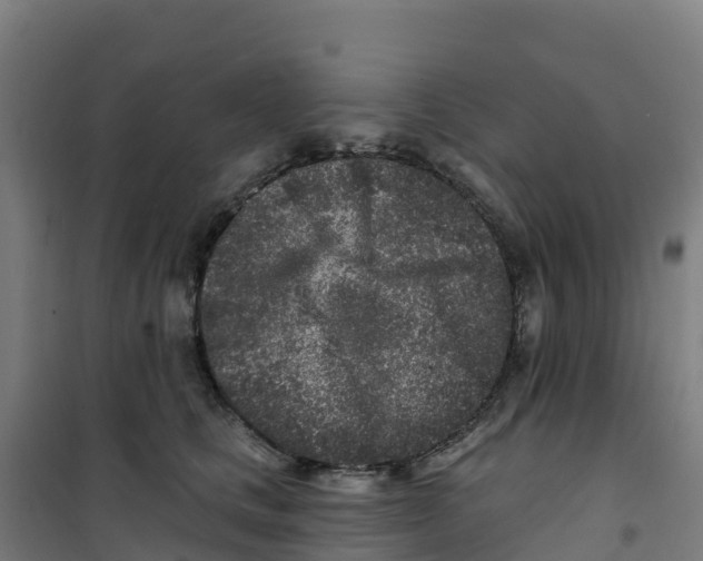 X0000100360661200807031839