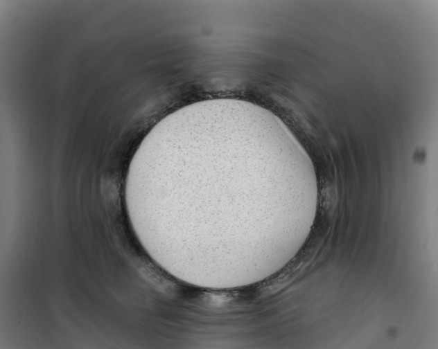 X0000100360662200807031839