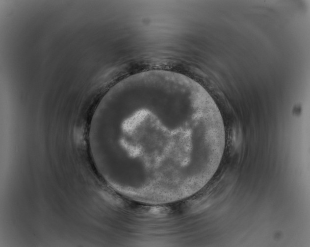 X0000100360663200807031839