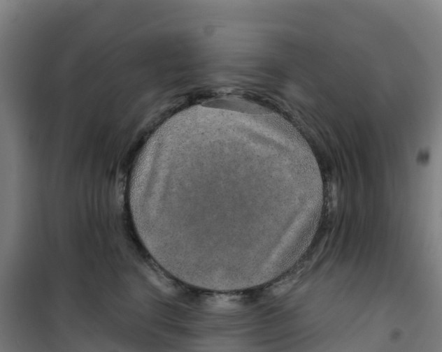 X0000100360664200807031839