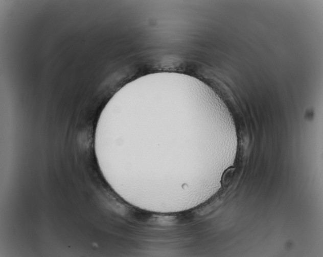 X0000100360665200807031839