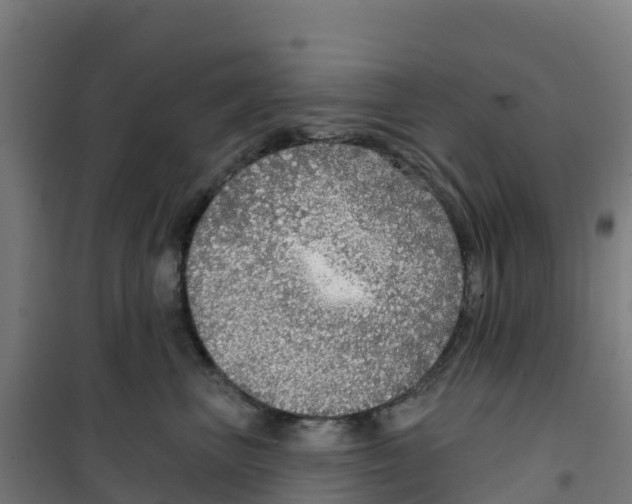 X0000100360667200807031839