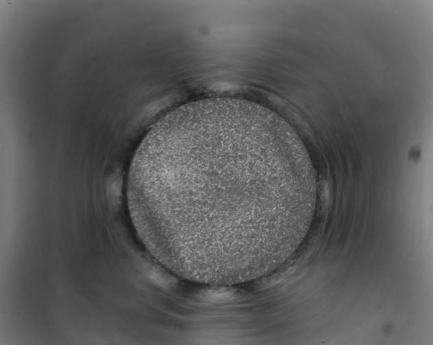 X0000100360668200807031839