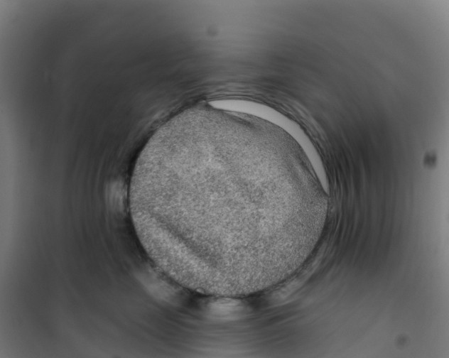 X0000100360669200807031839