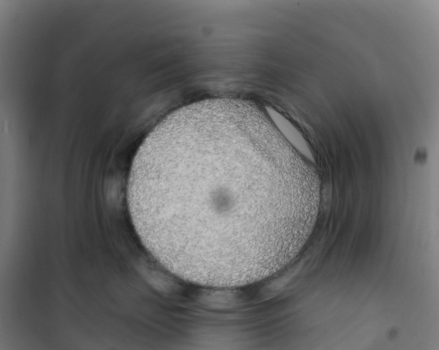 X0000100360671200807031839