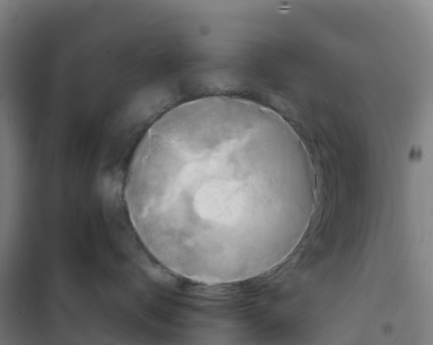 X0000100360672200807031839