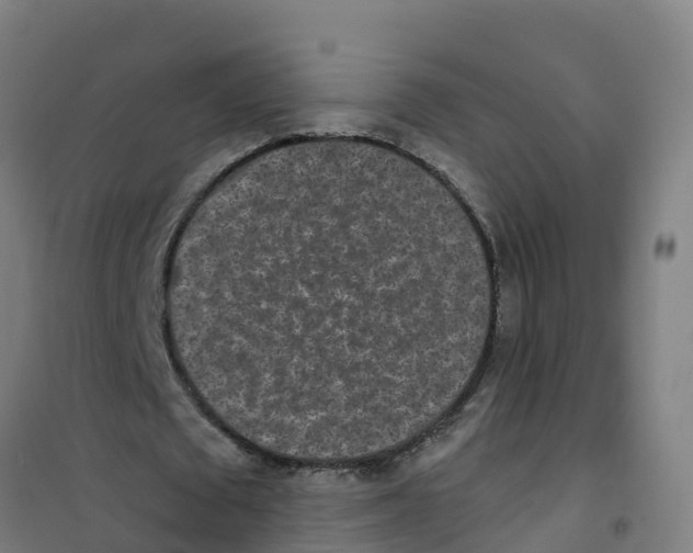 X0000100360673200807031838