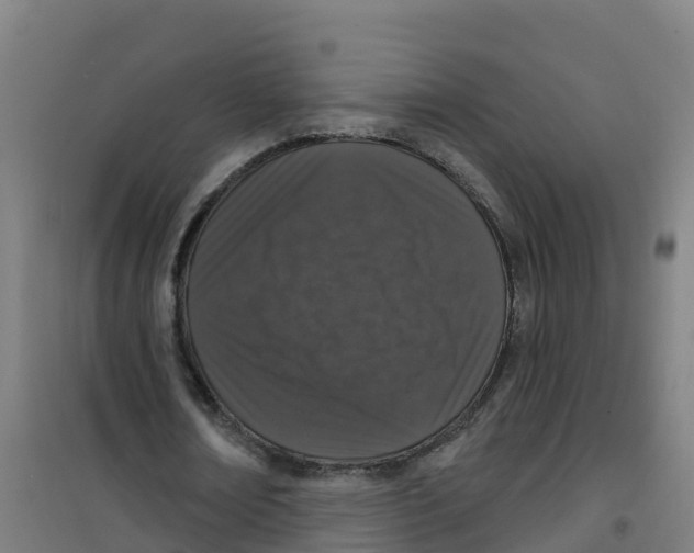 X0000100360674200807031838