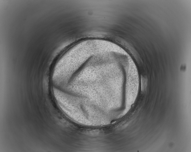 X0000100360675200807031838