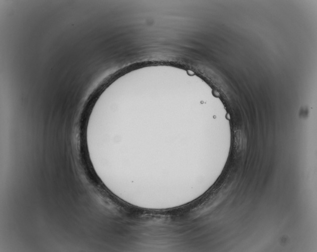 X0000100360676200807031838