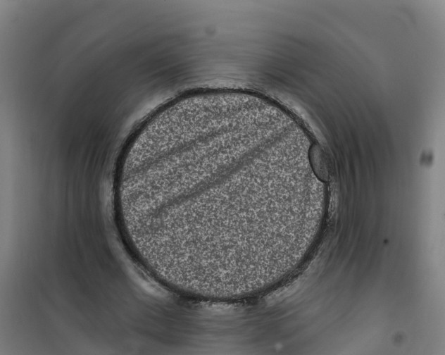 X0000100360677200807031838