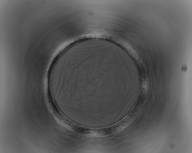 X0000100360678200807031838