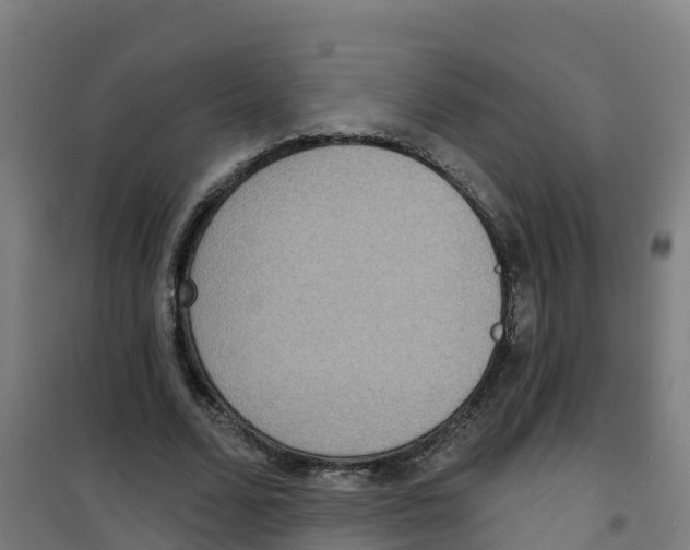 X0000100360680200807031838