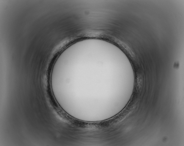 X0000100360682200807031838