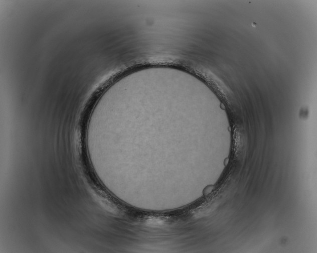 X0000100360684200807031838