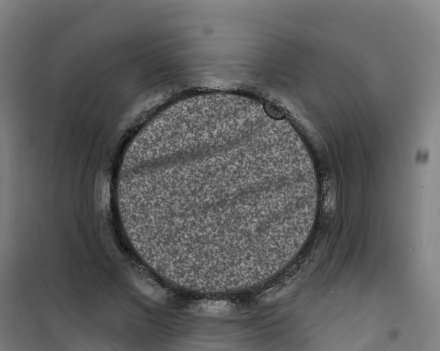 X0000100360685200807031838