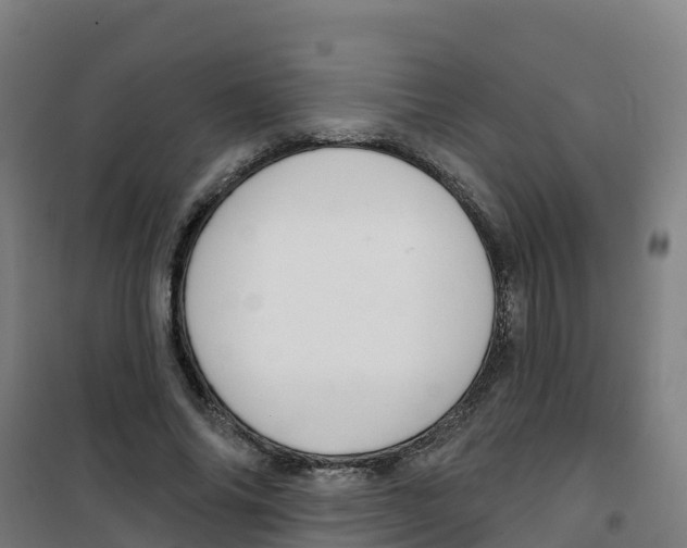 X0000100360686200807031838