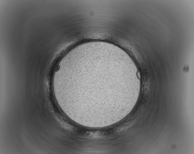 X0000100360688200807031838