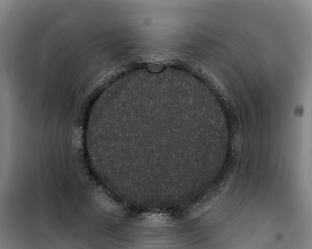 X0000100360689200807031838