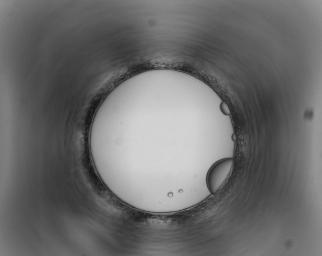 X0000100360690200807031838