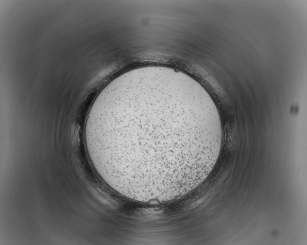 X0000100360692200807031838