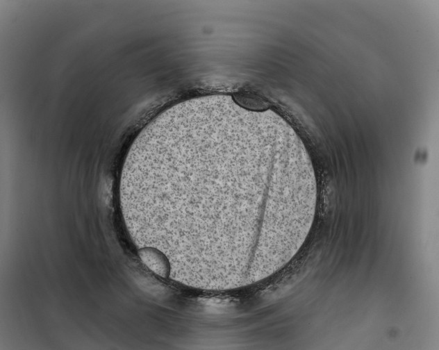 X0000100360693200807031838