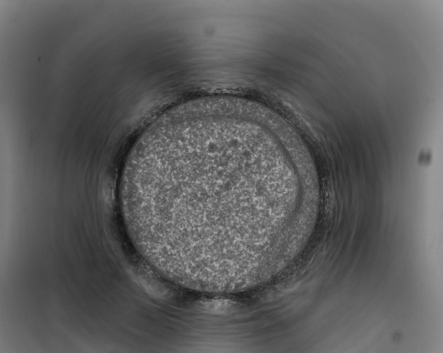 X0000100360695200807031838