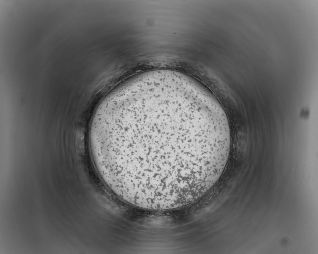 X0000100360696200807031838