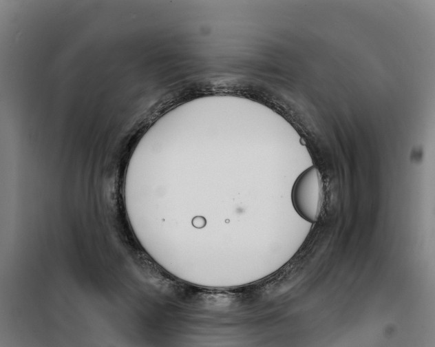 X0000100360698200807031838