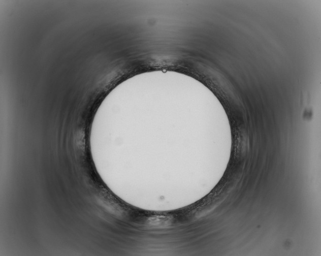 X0000100360700200807031838