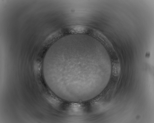 X0000100360701200807031838