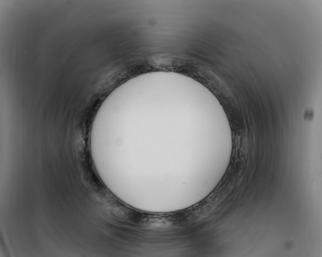 X0000100360702200807031838